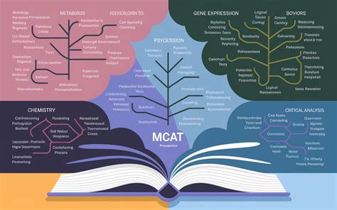 I found these images helpful from the MCAT Reddit Community Mcat