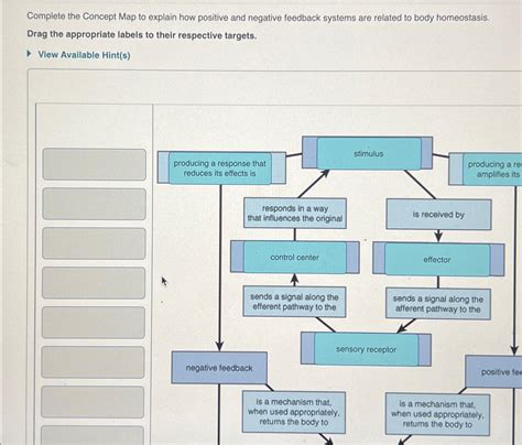 Solved Complete the concept map to explain how positive and