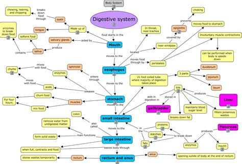 Introduction Concept Map Organ Systems