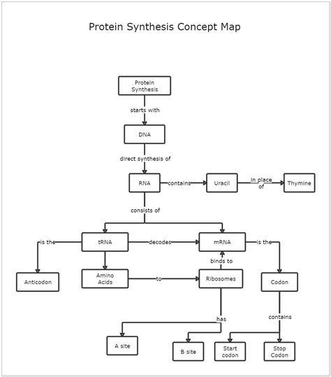 Protein Synthesis Concept Map