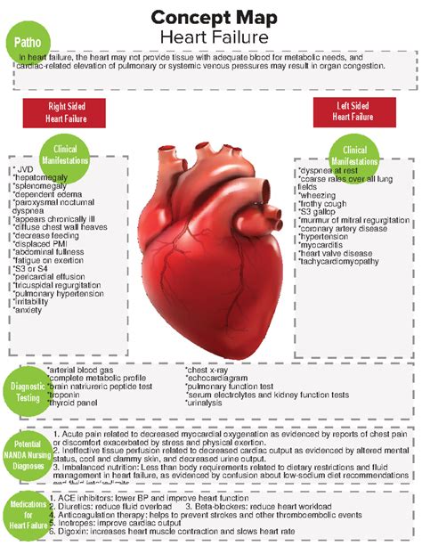 Right Heart Failure Calgary Guide Pathophysiology nursing