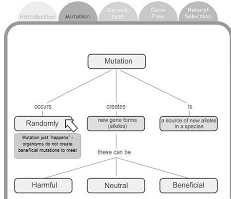 BIOLOGY is to serve mankind... 1.6 MUTATION