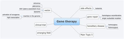 Researchers Successfully Map Most Extensive Visualization of A Complex