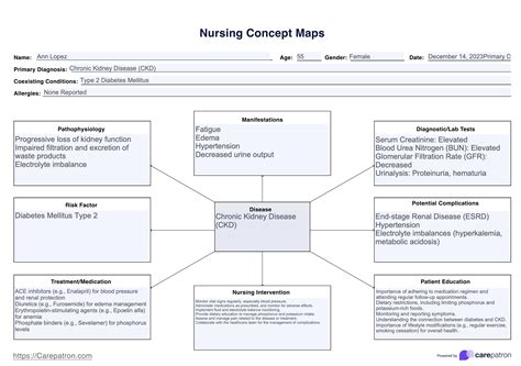 Concept Map Nursing Example