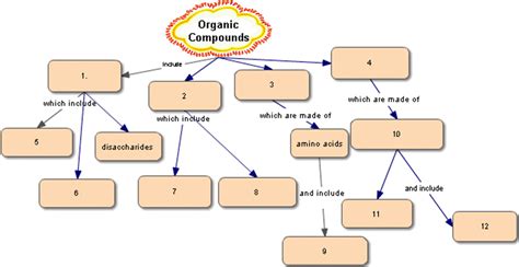 Major Organic Molecules Concept Map Map