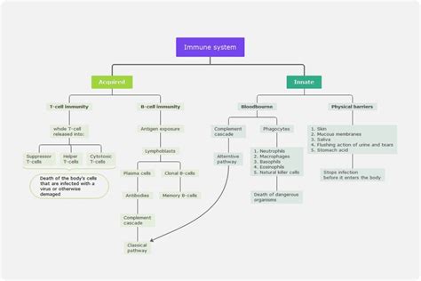 NLRP3 and STING enhance immune attack on cancer Cancer Biology