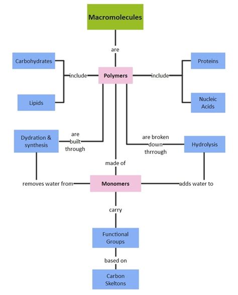 macromolecule_overview types of macromolecules