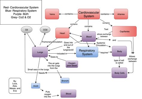 Concept Map Master Science Teacher Portfolio