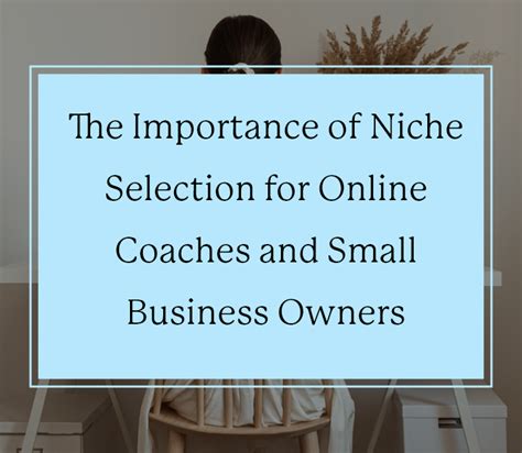 Conceptualization and Niche Selection