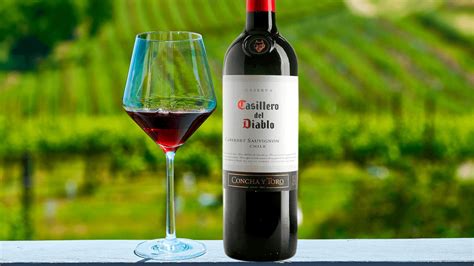 Concha Y Toro Tour Options