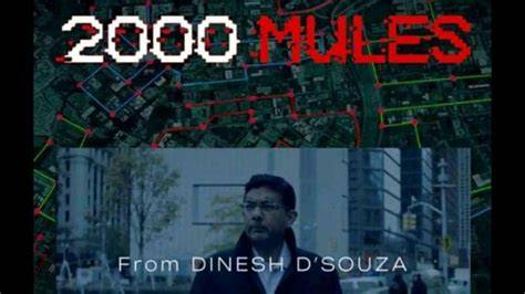 Conclusion 2000 Mules