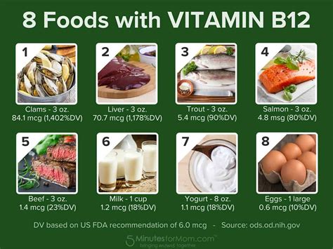 Conclusion The Importance of Vitamin B-12 Supplementation in a Vegetarian Diet