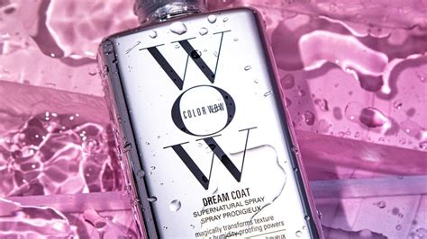 Conclusion and Your Quick-Hit Dream Coat Color Wow FAQ