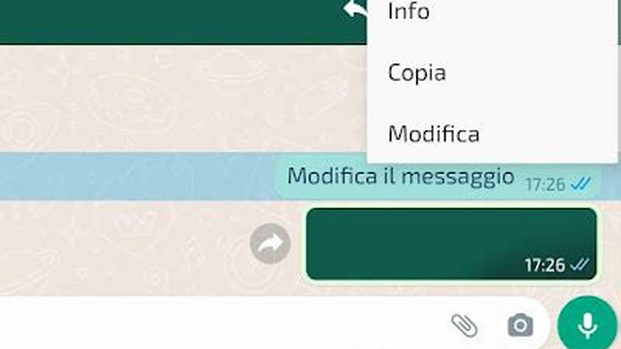 Conclusioni - Quanto Tempo Per Modificare Messaggi Whatsapp, IT Messaggi