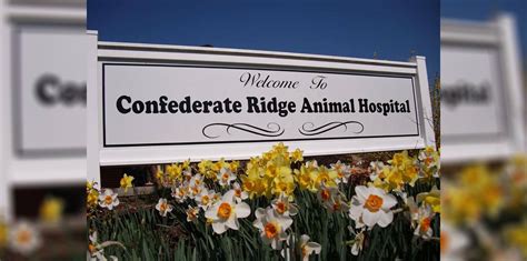 Experience Trusted and Compassionate Care at Confederate Ridge Animal Hospital