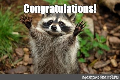 Congratulations Cute Animal Meme