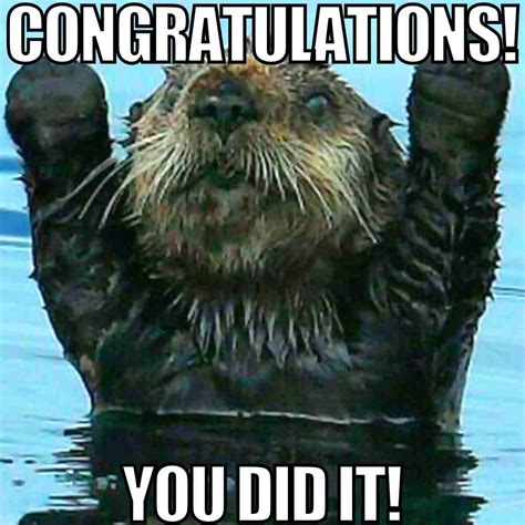 Congratulations Funny Image