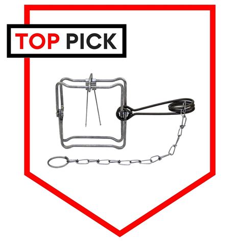 Image of a Conibear trap