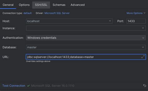 Connect to SQL Server using Datagrip on Windows 11