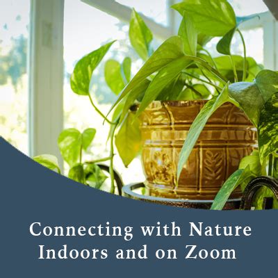 Connecting with Nature Indoors