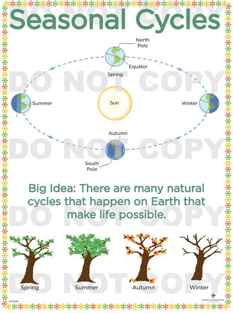 Connection to Seasonal Cycles