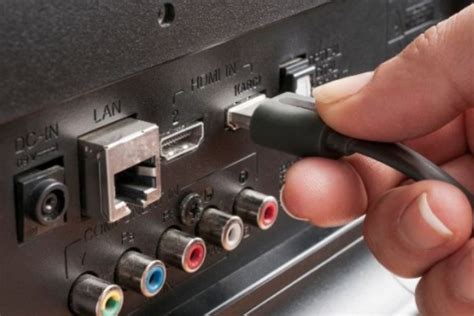 Connectivity Options and Compatibility