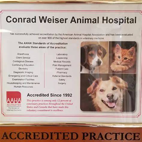 Top-Quality Veterinary Care at Conrad Weiser Animal Hospital: Keeping Your Furry Friends Happy and Healthy