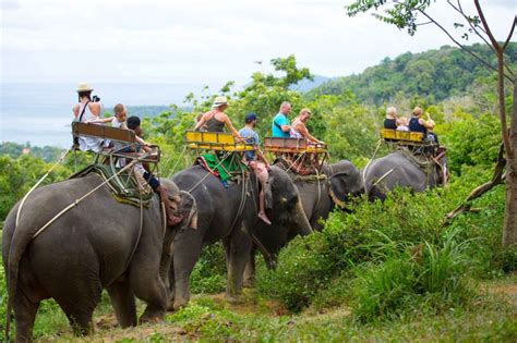 Cons Phuket Elephant Tour