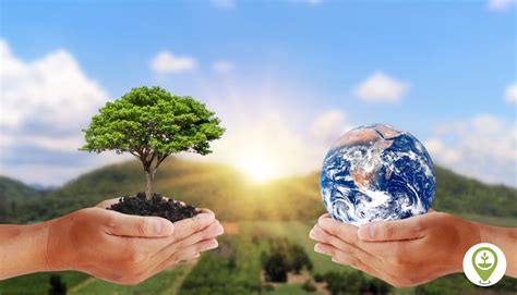 Conservation Importance