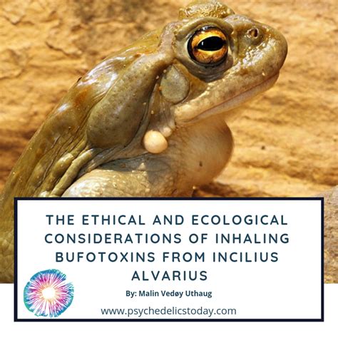 Conservation and Ethical Considerations Bufo