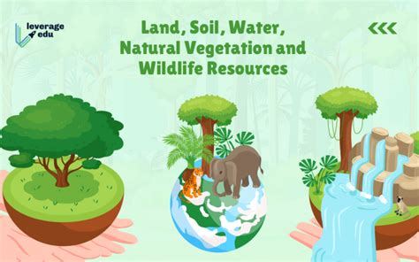Conservation of land and water resources