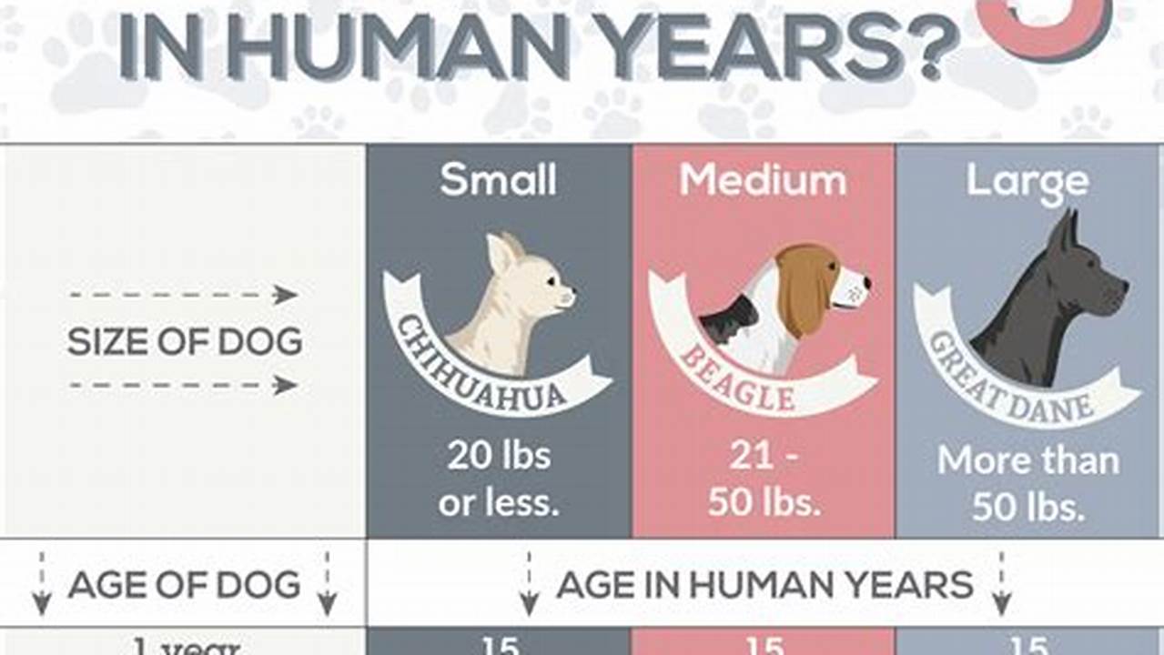 Consider Breed And Age, Articles