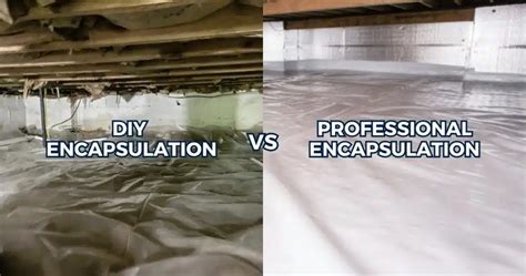 Consider Professional Removal or Encapsulation