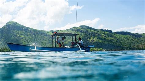 Consider before private tour