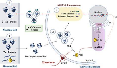 Consider trying trazodone for improved rest quality