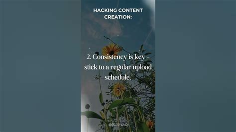 Consistency is King Upload Schedule