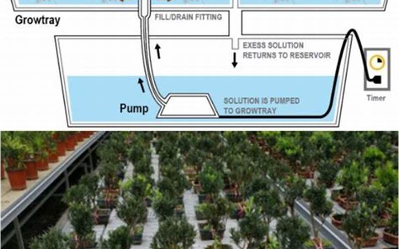 can you run constant flood and drain with cannabis aquaponics