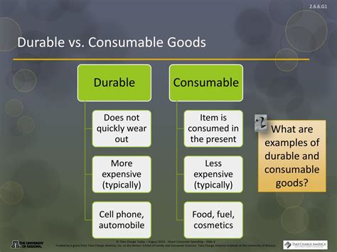 Consumables vs. Durable Goods