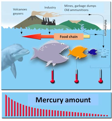 Consume Fish Contaminated with Mercury