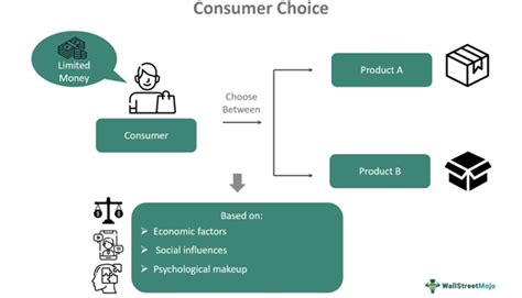 Consumer choice