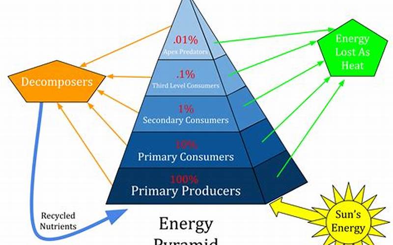 Consumers And Energy Transfer
