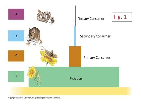 Consumers left lingering