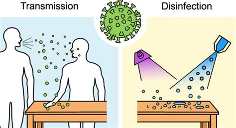 Contact with Contaminated Objects (Fomites)