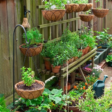 Container Gardening for Beginners: A Comprehensive Guide to Growing Plants in Pots