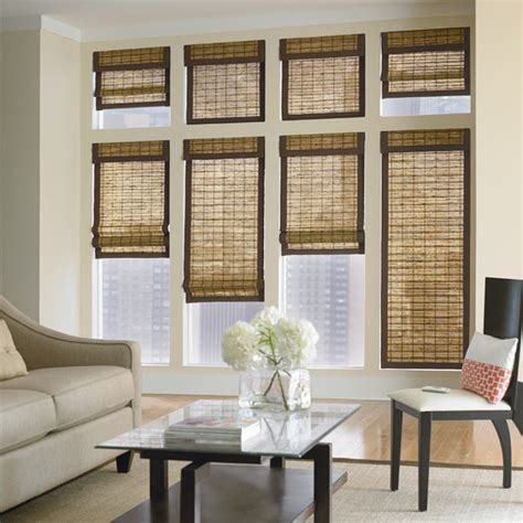 Contemporary Window Shades