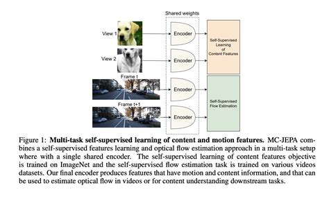 Content and Features
