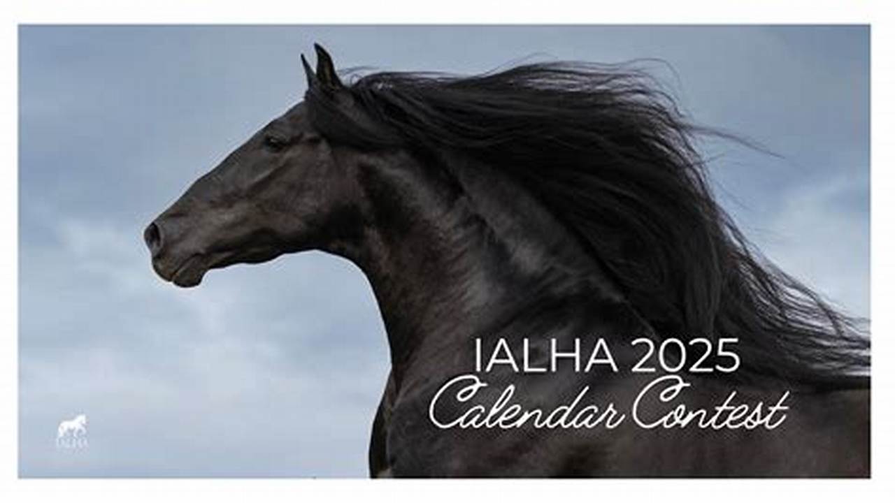 Contest Calendar 2025