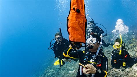 Continuing Education Diving