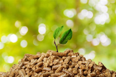 Biomassa é uma matéria orgânica utilizada para produzir energia