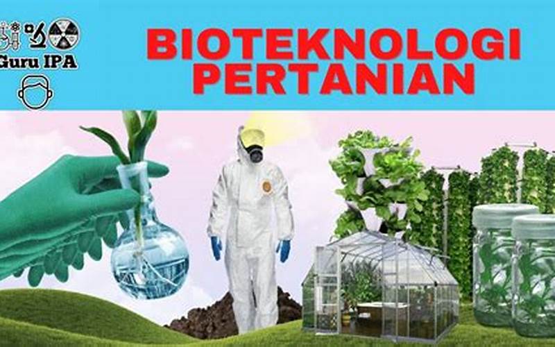 Contoh Bioteknologi Pertanian